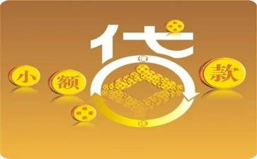 小贷公司工作总结8篇