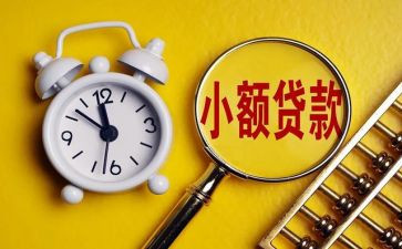 小贷公司工作总结5篇