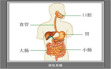 消化科护士工作总结8篇