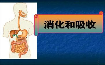 消化内科医生述职报告8篇