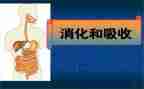 消化内科医生述职报告8篇