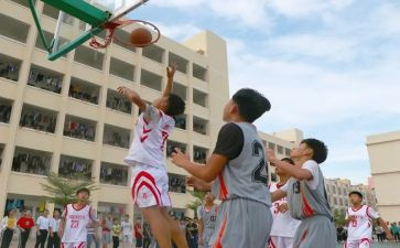 学校活动策划案模板7篇