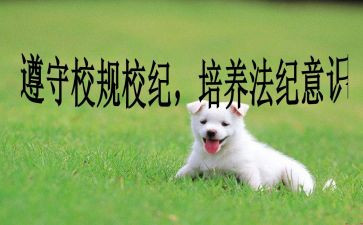 校纪检部述职报告6篇