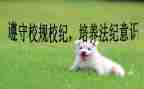 校纪检部述职报告6篇