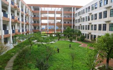 医学生校内奖学金申请书8篇
