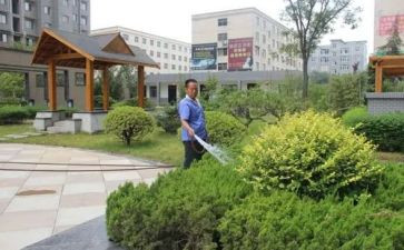 小区物业客服月工作总结优秀8篇