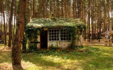 ?娜的小屋读后感5篇