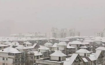二年级写下雪的作文8篇