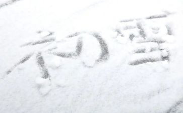 这下雪的作文推荐6篇