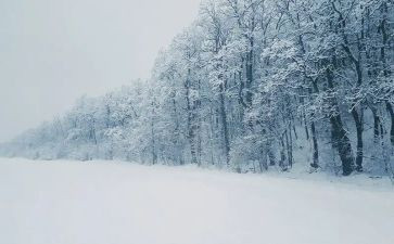 下雪天作文600字7篇