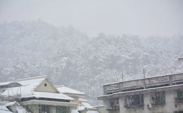这下雪的作文模板8篇