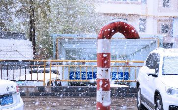 二年级写下雪了作文6篇
