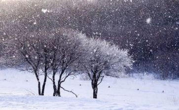 二年级写下雪的作文通用8篇
