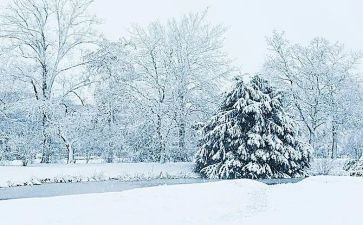 下雪了作文优秀6篇