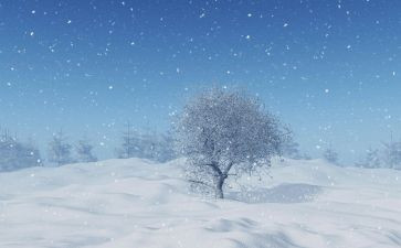 下雪啦语言教案6篇