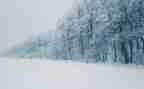 写下雪的作文400字7篇