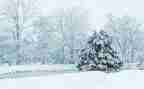 下雪了作文优秀6篇