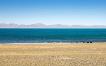 旧西藏作文最新7篇