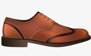 我的鞋作文300字通用6篇