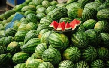 选西瓜作文推荐8篇