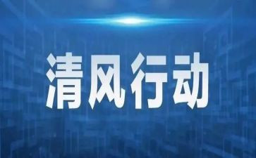打击专项行动工作总结5篇