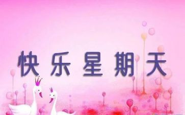 那星期天教案6篇