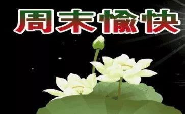 我的星期天作文7篇