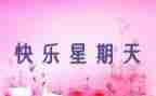 那星期天教案6篇
