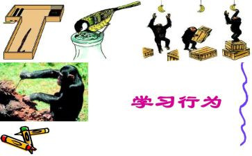 学生行为规范演讲稿8篇