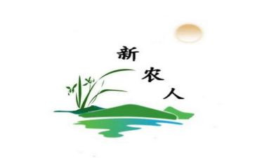 新农村建设工作计划7篇