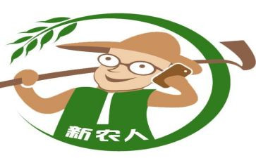 新农保2024年工作总结7篇