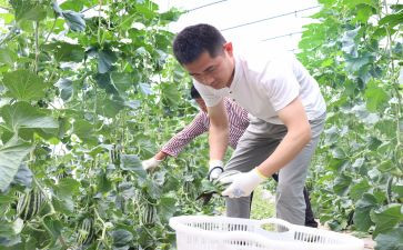 新农村调研报告8篇