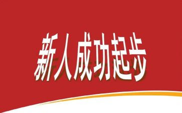 公司新人年终总结8篇