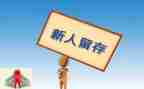 刚入职的新人年终总结6篇