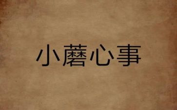 我的心事的作文500字5篇