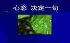 就心态演讲稿通用5篇
