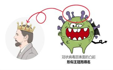 抗击新型冠状病毒的作文5篇