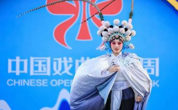 学戏曲的作文6篇