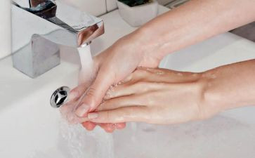 勤洗手幼儿园教案5篇