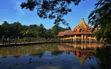 西双版纳作文7篇