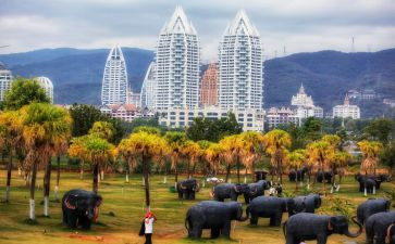 西双版纳作文模板8篇