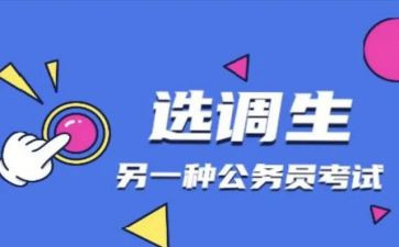 选调生到村工作总结6篇