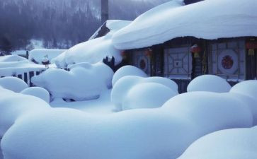鲁迅《雪》读后感500字5篇