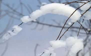 打扫雪的心得体会优质5篇