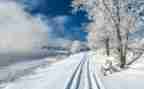 雪读后感100字7篇