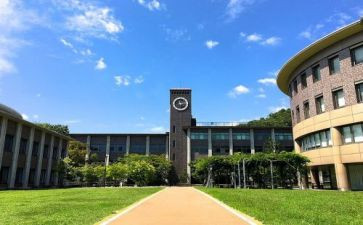 大学部门年度工作总结6篇