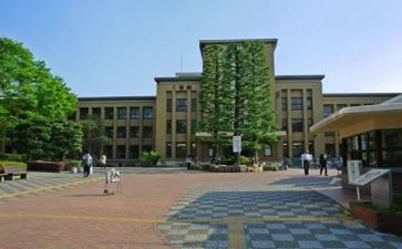学部主任工作总结8篇