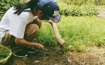 小学农村述职报告5篇