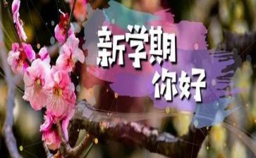 下学期个人总结8篇
