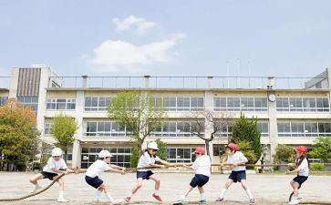 学生辞职报告参考6篇